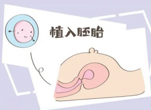 染色体问题供卵 结婚6年无子，却发现老公不是男人！ 是作弊还是别的？