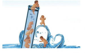 2023年石家庄妇产医院试管婴儿成功率排行榜，有河北试管医院推荐吗？