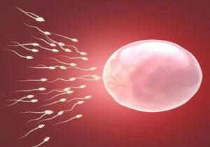 有没有人分享一下冻胚移植后14天hcg18保胎的成功经验？