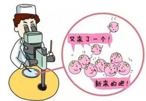 政协委员提议“允许未婚女性在一定条件下冷冻卵子”