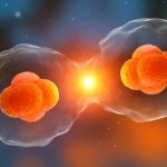 太原市南郊中医院供卵试管婴儿交换组