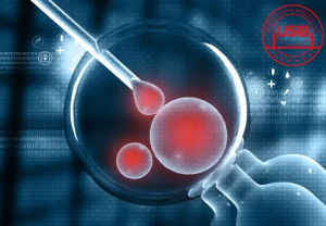 福州供卵试管费用多少？附福州捐卵机构费用