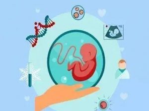 2023年长沙公立医院捐卵供卵试管费用是多少？