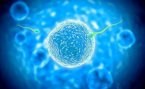 子宫内膜厚度多少适合试管婴儿移植，试管移植时子宫内膜的标准厚度范围有调理措施