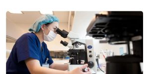 到底是什么影响了试管成功率？