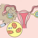 天津医科大学第二医院生殖科做供供卵试管费用是多少? 天津医科大学第二医院生殖科做供供卵试管费用是多少?