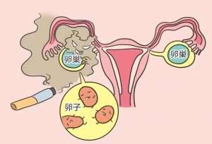 天津医科大学第二医院生殖科做供供卵试管费用是多少？