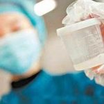 2023 石家庄妇产医院 试管供卵试管每一步的费用有明细吗? 2023 石家庄妇产医院 试管供卵试管每一步的费用有明细吗?