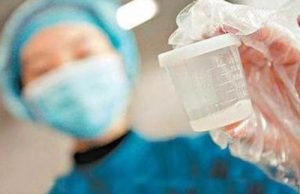 2023 石家庄妇产医院 试管供卵试管每一步的费用有明细吗？