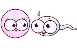 供卵试管婴儿胎儿染色体异常的四大原因，供卵试管夫妇必看内容