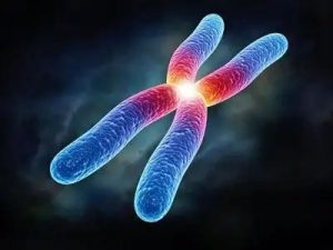 南昌捐卵流程，IVF新鲜胚胎移植？ 还是冷冻胚胎移植？生殖医生分析优缺点