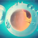 【洛阳安和妇产医院】宫外孕有哪些症状? 有哪些风险因素? 【洛阳安和妇产医院】宫外孕有哪些症状? 有哪些风险因素?