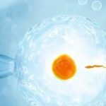 济南三代试管男童捐卵多少钱？  15万够吗？