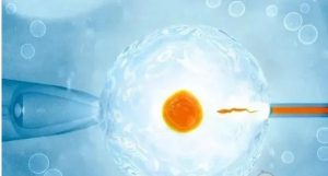 济南三代试管男童捐卵多少钱？  15万够吗？