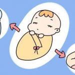 试管移植后囊胚冷冻 试管移植后囊胚冷冻