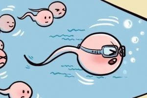 2023年随州中医院花12万包能生双胞胎吗？附州内及周边试管婴儿医院推荐