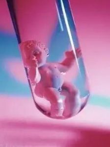 武汉供卵试管6大常见问题