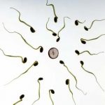 供卵试管移植前内膜薄怎么调理？4招提高试管着床的秘诀