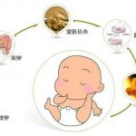 卵子要提前冷冻吗? 捐卵? 在武汉,有这样的操作方法吗? 卵子要提前冷冻吗? 捐卵? 在武汉,有这样的操作方法吗?