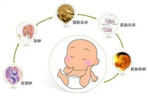 卵子要提前冷冻吗？ 捐卵？ 在武汉，有这样的操作方法吗？