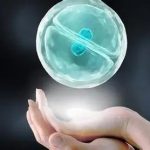 借卵试管助孕机构宫腔粘连可以做三代试管婴儿吗? 借卵试管助孕机构宫腔粘连可以做三代试管婴儿吗?