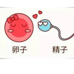 排卵不良如何调理,三代试管捐卵助孕 排卵不良如何调理,三代试管捐卵助孕