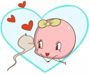 子宫输卵管造影常见问题| 供卵三代试管