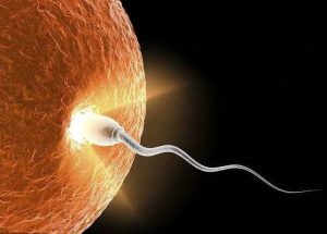 IVF供卵试管破裂的护理方法有哪些？