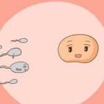 武汉捐卵助孕机构如何冷冻保存胚胎