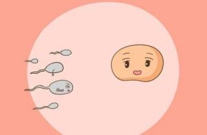 武汉捐卵助孕机构如何冷冻保存胚胎