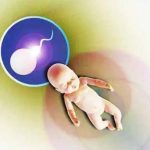 验孕棒发现卵巢早衰怎么办？ 我可以供卵试管吗？