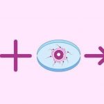 武汉三代试管供卵:如何调理子宫内膜? 武汉三代试管供卵:如何调理子宫内膜?