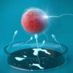 解读子宫腺肌症做试管的流程,子宫肌腺症做试管成功率是多少