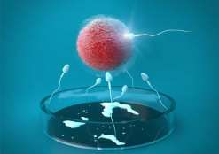 贺美奇 打贺美奇卵泡长得快吗