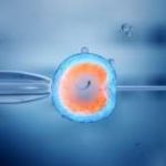 天津第三代试管婴生男孩价格多少？