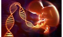 准备怀孕要做哪些调理