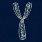 2023年做三代试管婴儿包生男孩需要多少费用？