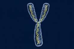 2023年做三代试管婴儿包生男孩需要多少费用？