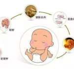 新生儿翻白眼怎么办(新生儿翻白眼是怎么回事) 新生儿翻白眼怎么办(新生儿翻白眼是怎么回事)