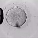 西宁三代试管哪家医院成功率高