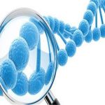 第三代试管婴儿技术怎么样 做试管婴儿前的准备 第三代试管婴儿技术怎么样 做试管婴儿前的准备