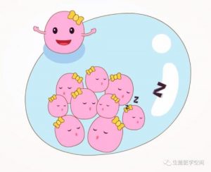 漳州先天性子宫内膜异位症三代试管费用？