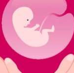 罗氏易位去美国做第三代试管如何? 罗氏易位去美国做第三代试管如何?