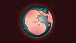 成都三代试管费用总共多少