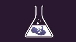 武都子宫内膜严重损伤做试管成功率？