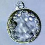 (绍兴妇幼保健院试管医生)绍兴哪个试管专家成功率高[浙江试管婴儿]