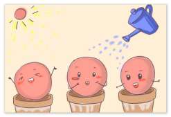 男人调理精子生儿子有秘诀,男人生儿子备孕应该采用什么方法