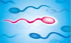 贵州不来月经能做试管吗？(贵州省人民医院试管婴儿专家)