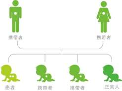 试管婴儿胚胎移植后需要一直卧床休息吗？来听听专家的建议