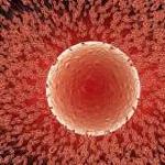 国内能做三代试管的私立医院有哪些